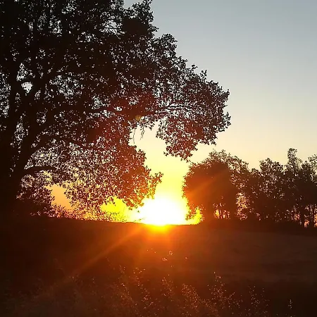 Vivienda Adosada , Con Merendero En Carcedo